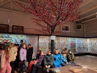 20240109_094634_resized